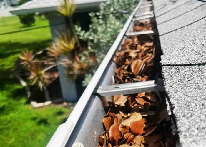 Landrum gutter cleaning home page